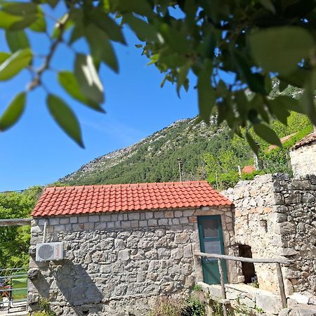 Cottage Melita The Apartment For Animal Lovers Babino Polje Экстерьер фото