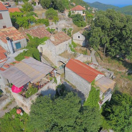 Cottage Melita The Apartment For Animal Lovers Babino Polje Экстерьер фото