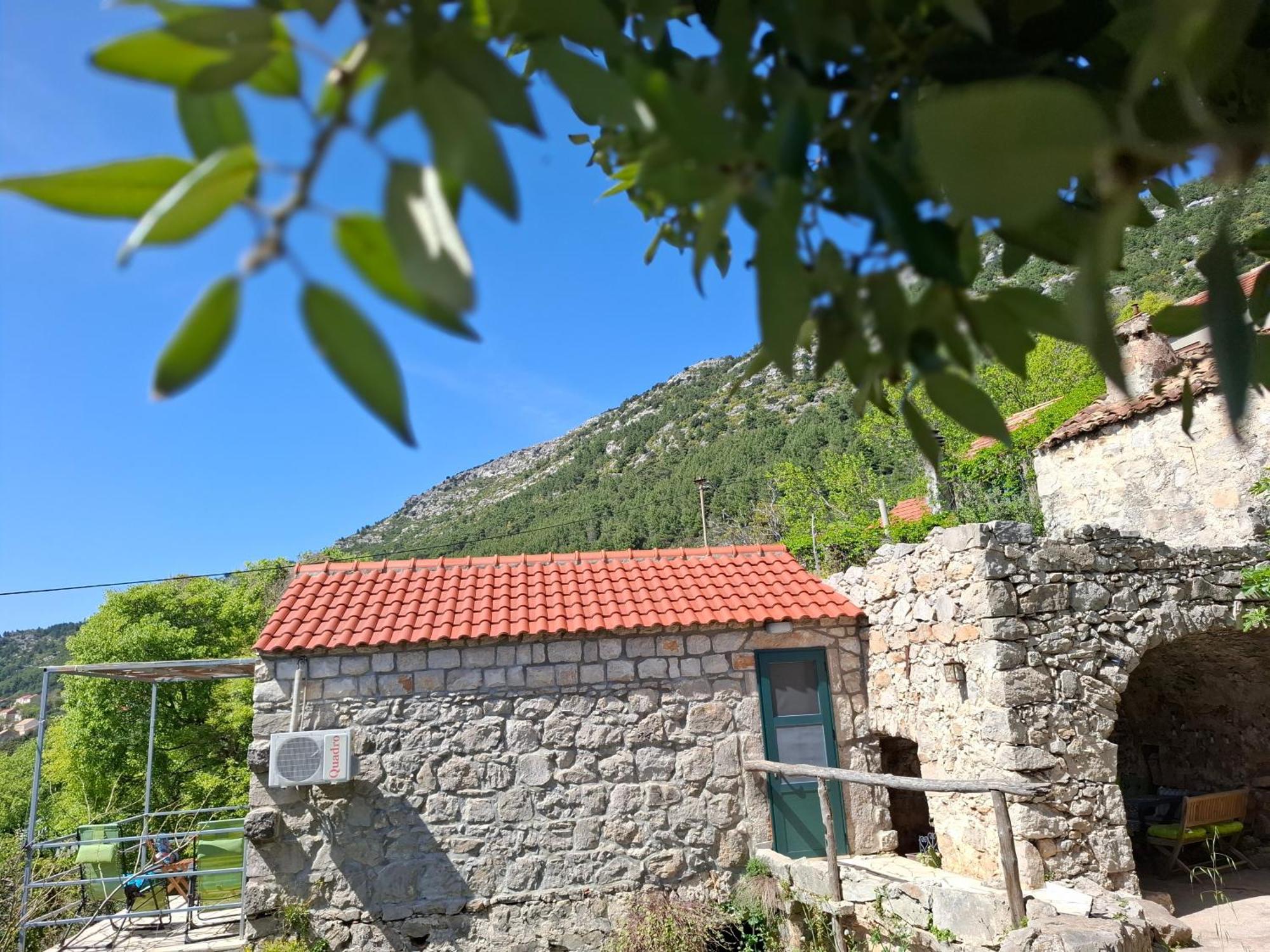 Cottage Melita The Apartment For Animal Lovers Babino Polje Экстерьер фото