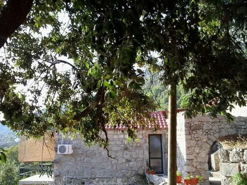 Cottage Melita The Apartment For Animal Lovers Babino Polje Экстерьер фото
