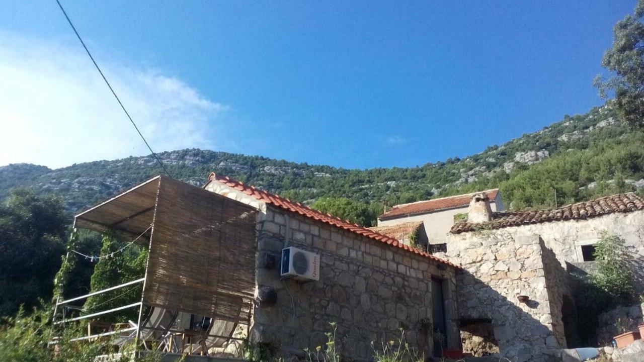 Cottage Melita The Apartment For Animal Lovers Babino Polje Экстерьер фото