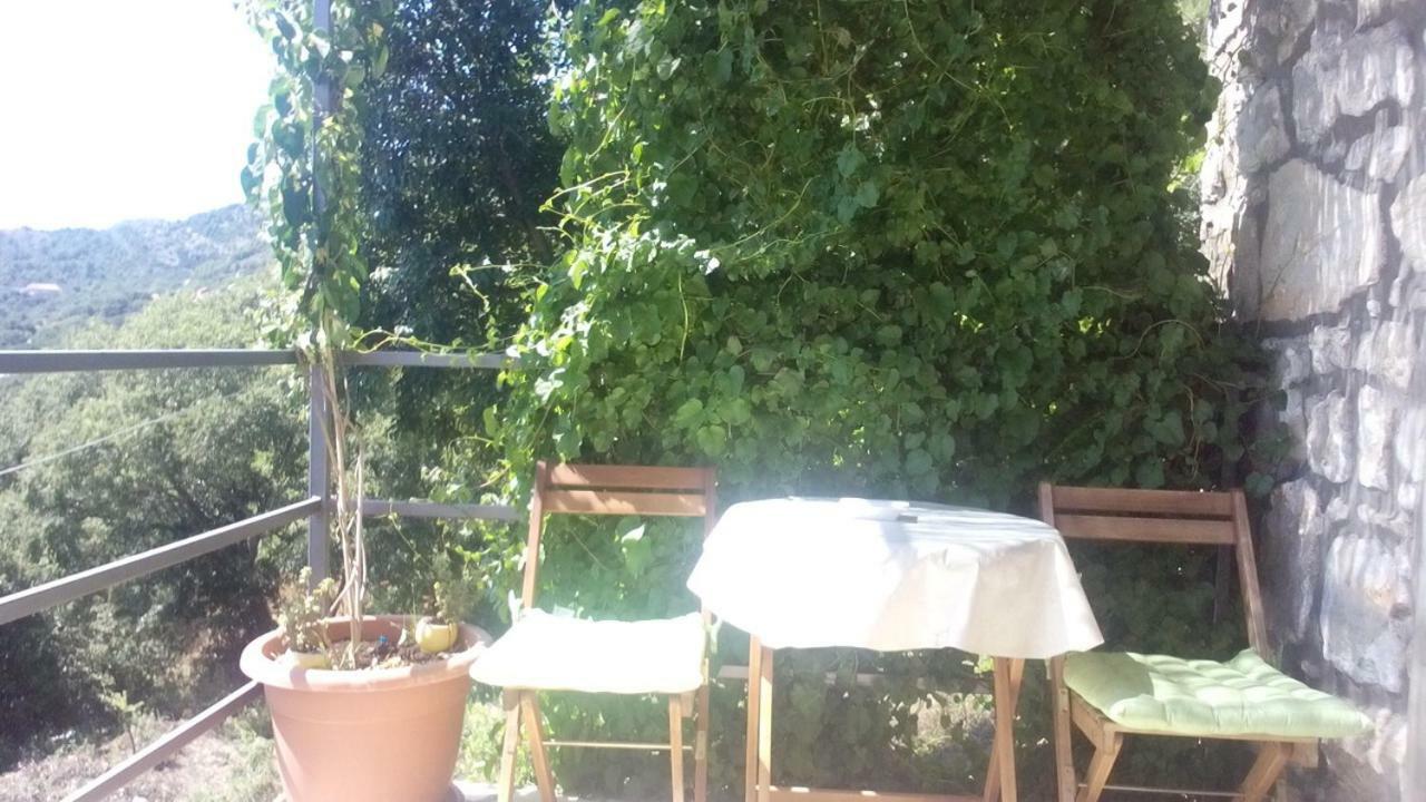 Cottage Melita The Apartment For Animal Lovers Babino Polje Экстерьер фото