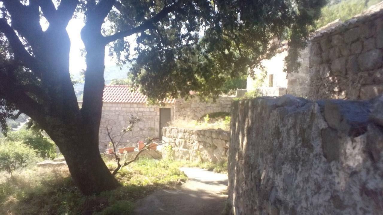 Cottage Melita The Apartment For Animal Lovers Babino Polje Экстерьер фото