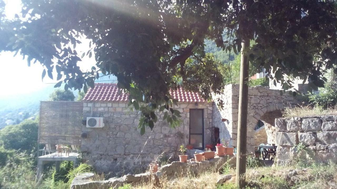 Cottage Melita The Apartment For Animal Lovers Babino Polje Экстерьер фото