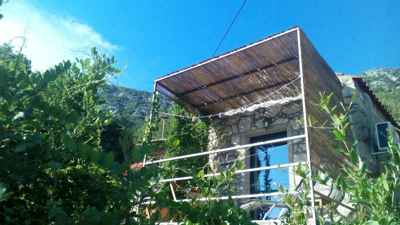 Cottage Melita The Apartment For Animal Lovers Babino Polje Экстерьер фото