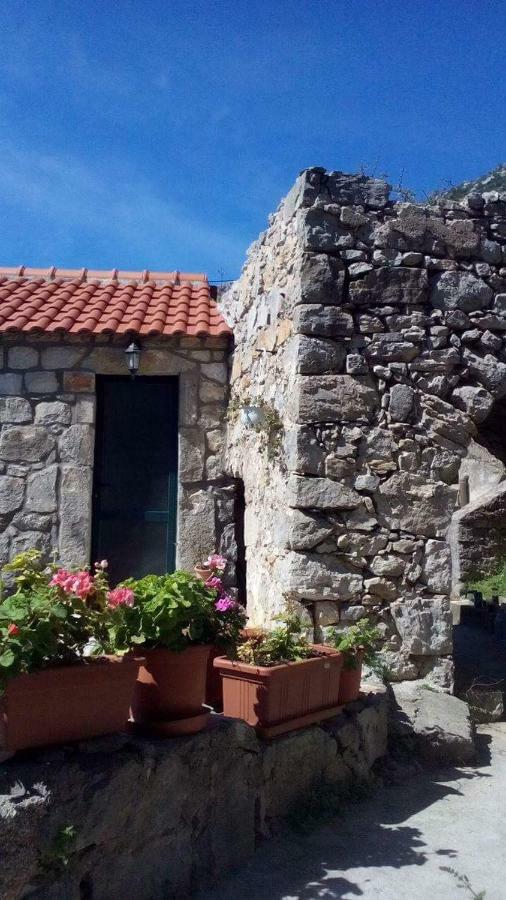 Cottage Melita The Apartment For Animal Lovers Babino Polje Экстерьер фото