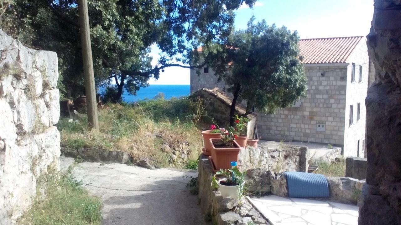 Cottage Melita The Apartment For Animal Lovers Babino Polje Экстерьер фото