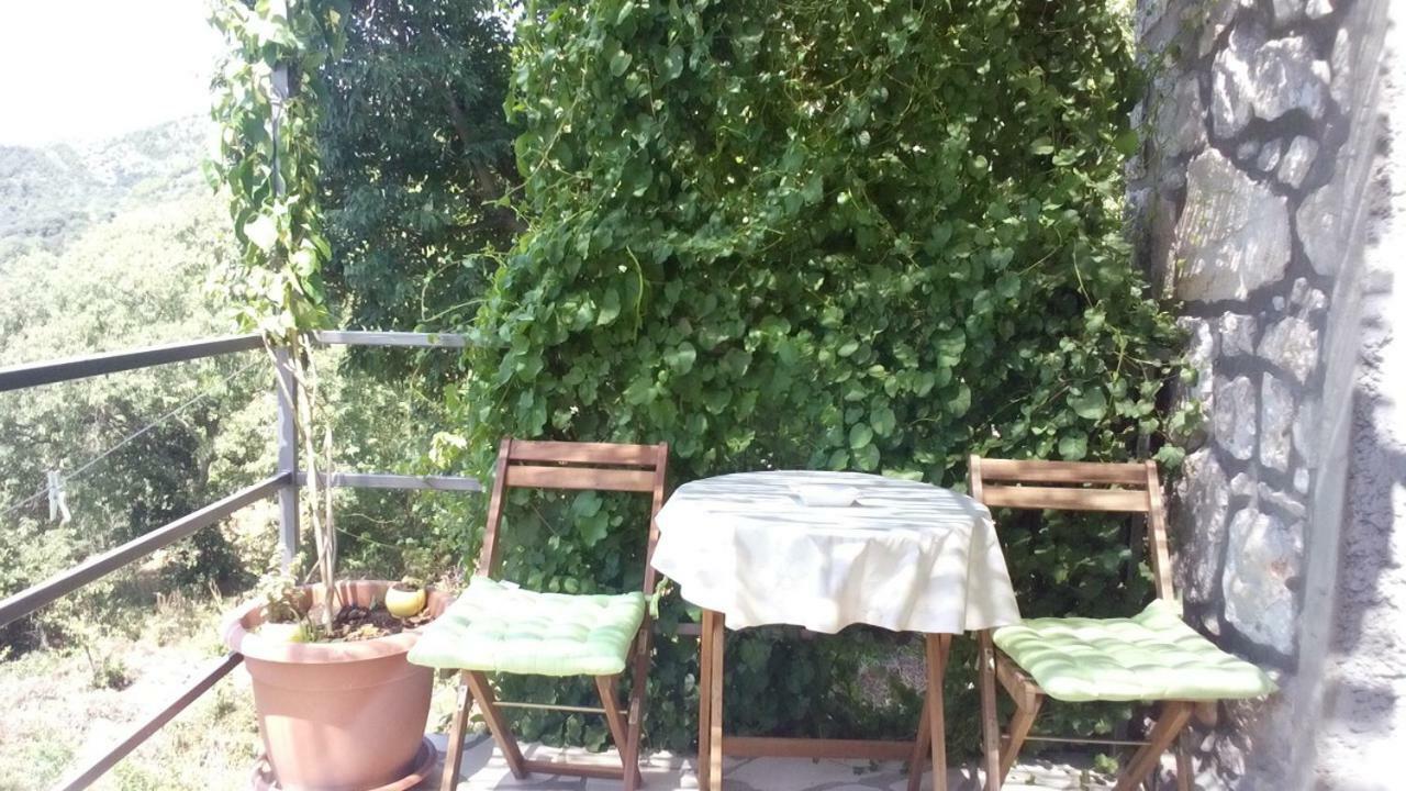 Cottage Melita The Apartment For Animal Lovers Babino Polje Экстерьер фото
