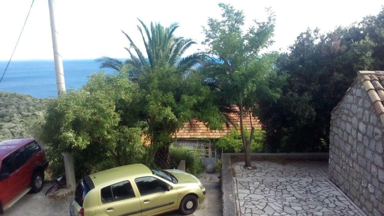 Cottage Melita The Apartment For Animal Lovers Babino Polje Экстерьер фото