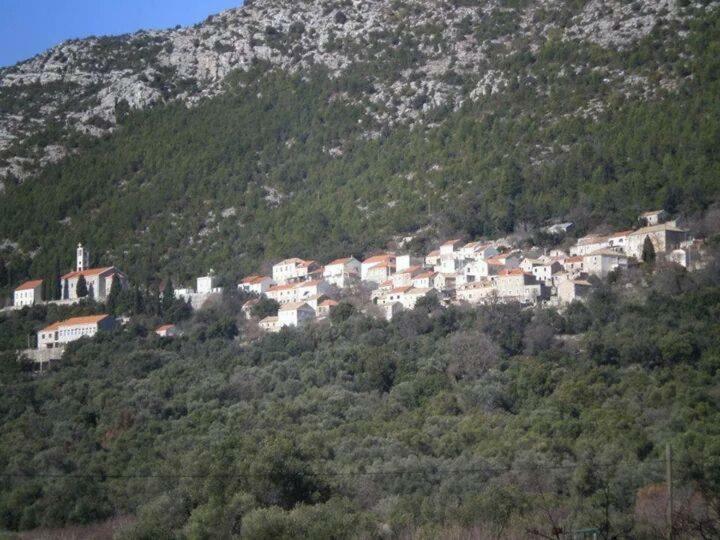 Cottage Melita The Apartment For Animal Lovers Babino Polje Экстерьер фото