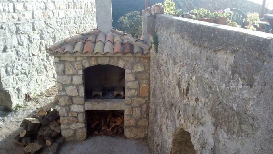 Cottage Melita The Apartment For Animal Lovers Babino Polje Экстерьер фото