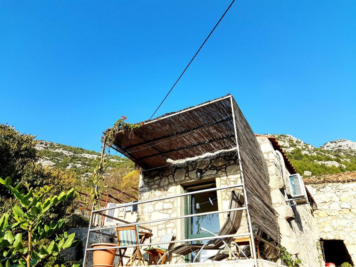 Cottage Melita The Apartment For Animal Lovers Babino Polje Экстерьер фото