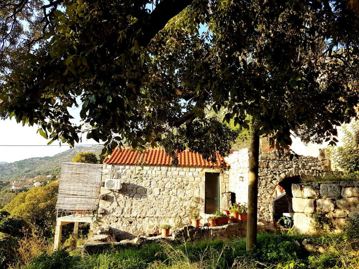 Cottage Melita The Apartment For Animal Lovers Babino Polje Экстерьер фото